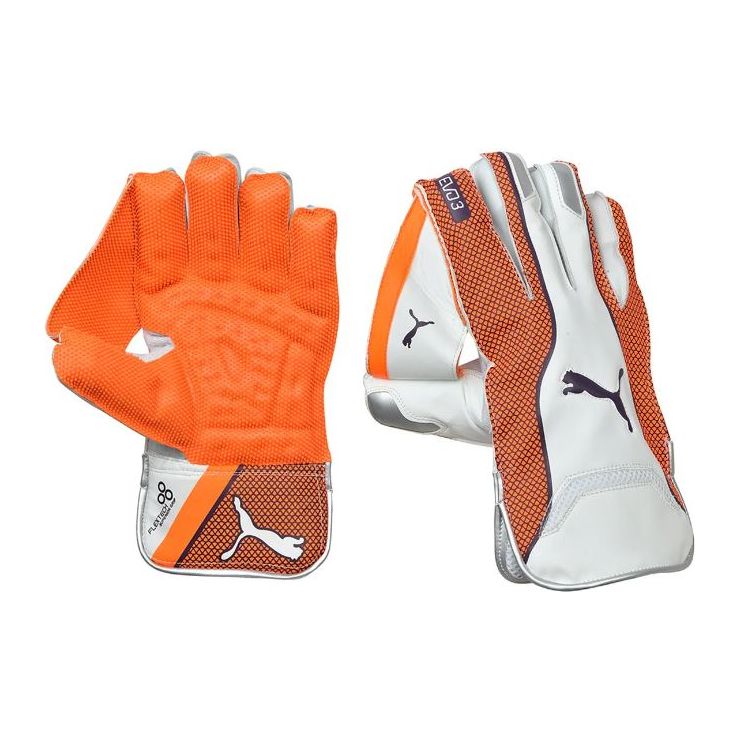 Puma EVO 3 WICKET KEEPER GLOVE - Junior