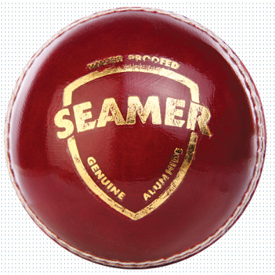 SG Seamer Leather Cricket Ball