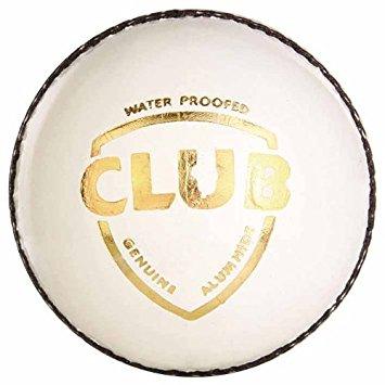 Cricket Ball Leather