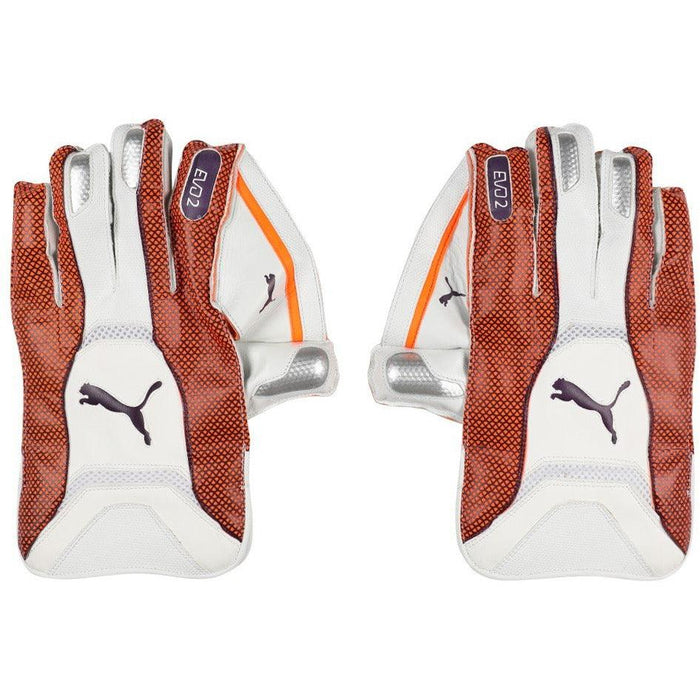 Puma wicket keeping gloves hot sale