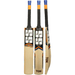 SS Ton Cricket Bat