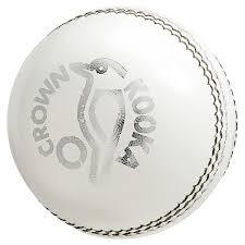 Cricket Ball Leather