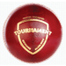 SG Tournament Cricket Ball