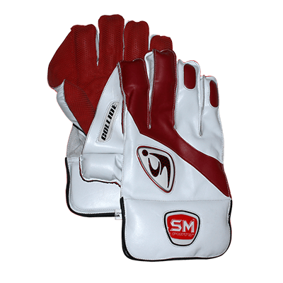 BEST Wicket Keeping Gloves - SM PINTO