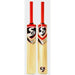 TAPE BALL BAT TENNIS BAT